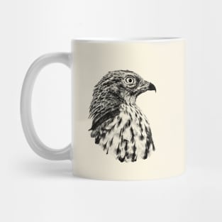 Honey buzzard Mug